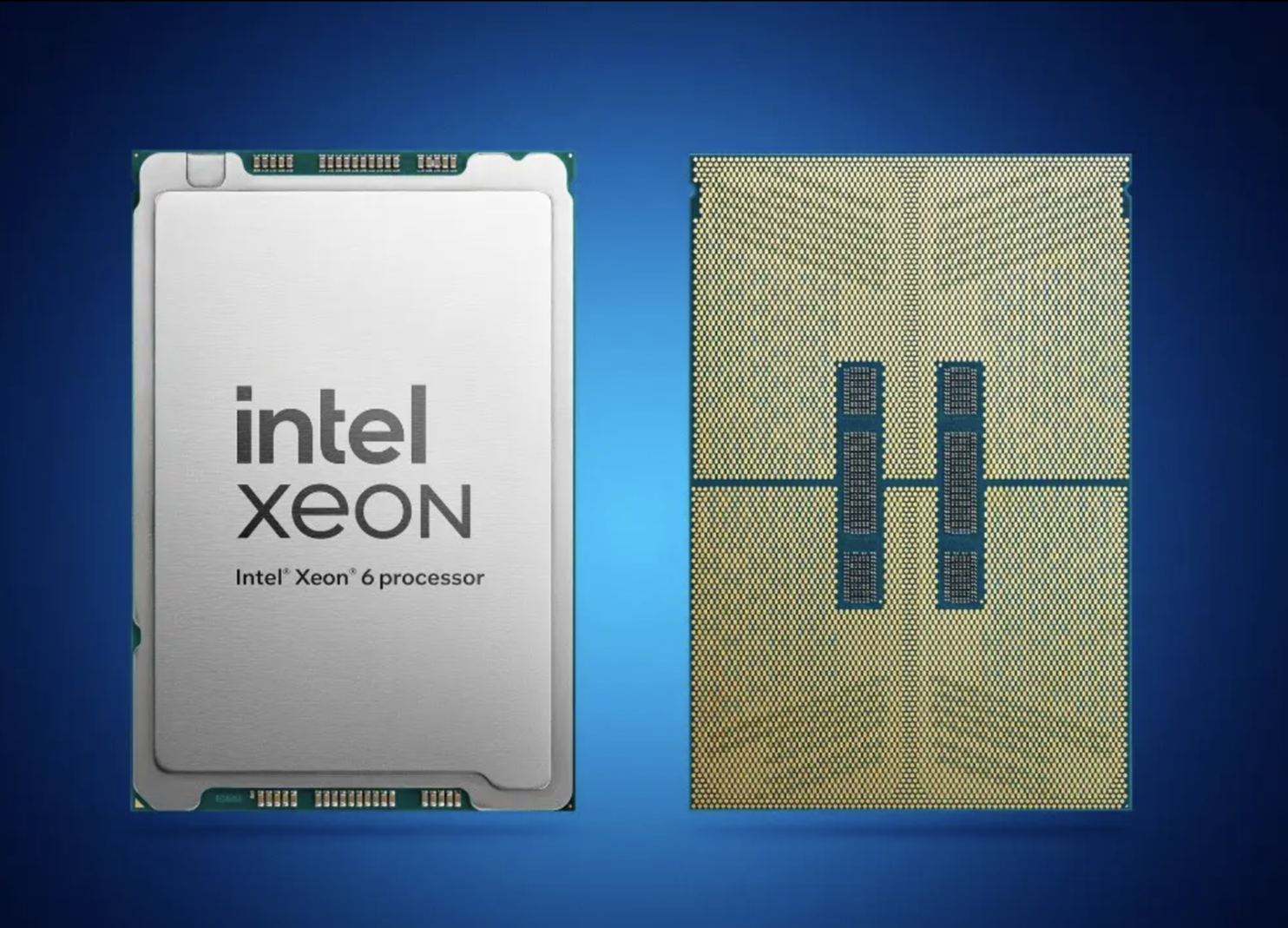 Intel Luncurkan Prosesor Xeon 6 dan Akselerator Gaudi 3 untuk Perkuat Dominasi di Pasar AI